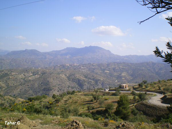 vue du village depuis aouir el eulmi